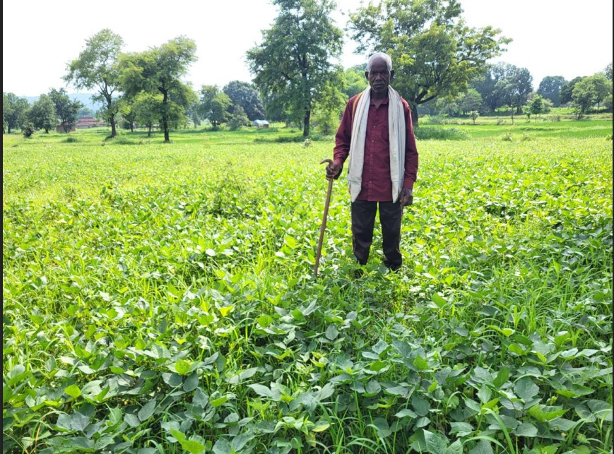 साधारण किसान से प्रगतिशील किसान की ओर बढ़ रहे महावीर पुषाम साधारण किसान से प्रगतिशील किसान की ओर बढ़ रहे महावीर पुषाम