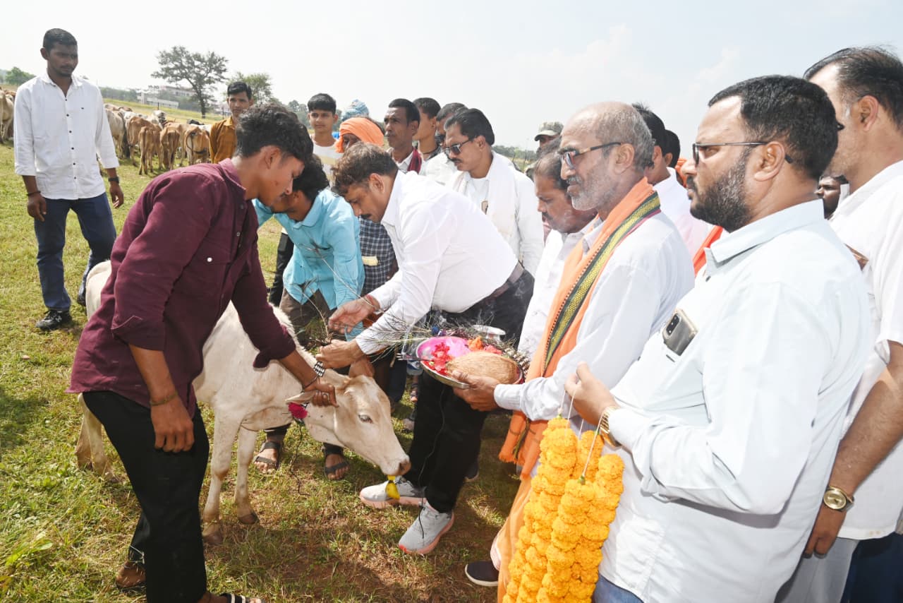 भागूटोला में घुमंतू पशुओं की सेवा, सुरक्षा और संरक्षण की मिसाल भागूटोला में घुमंतू पशुओं की सेवा, सुरक्षा और संरक्षण की मिसाल
