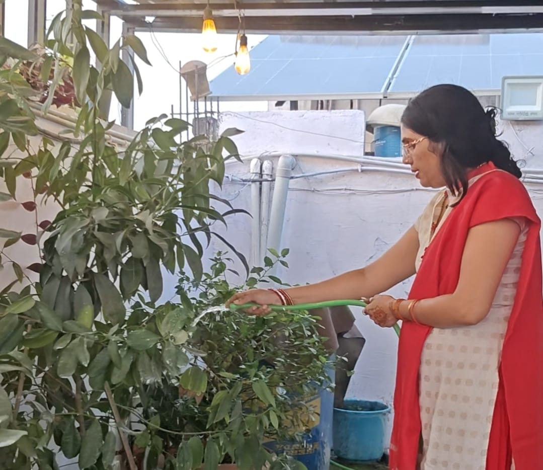 प्रकृति प्रेमी रितु मेश्राम ने सोलर पैनल लगवाकर पर्यावरण संरक्षण में निभाई सहभागिता प्रकृति प्रेमी रितु मेश्राम ने सोलर पैनल लगवाकर पर्यावरण संरक्षण में निभाई सहभागिता