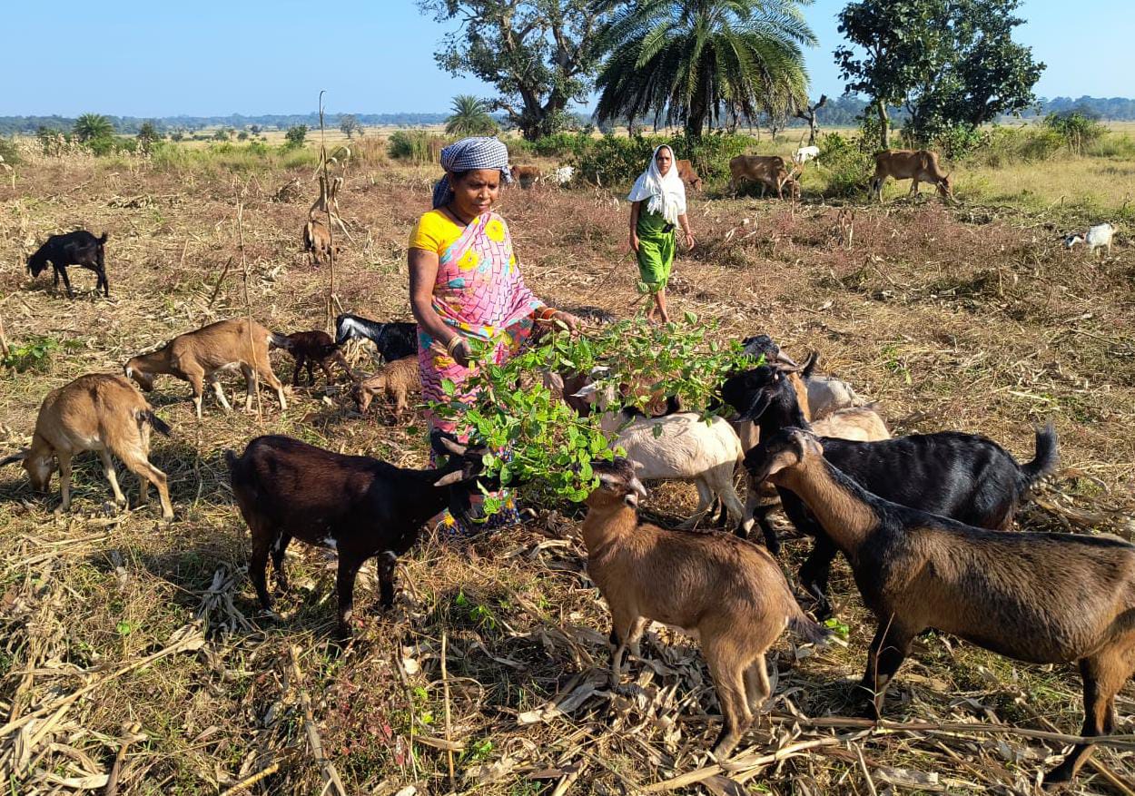 गरीबी को मात देकर आत्मनिर्भर बनी बुटकी गरीबी को मात देकर आत्मनिर्भर बनी बुटकी