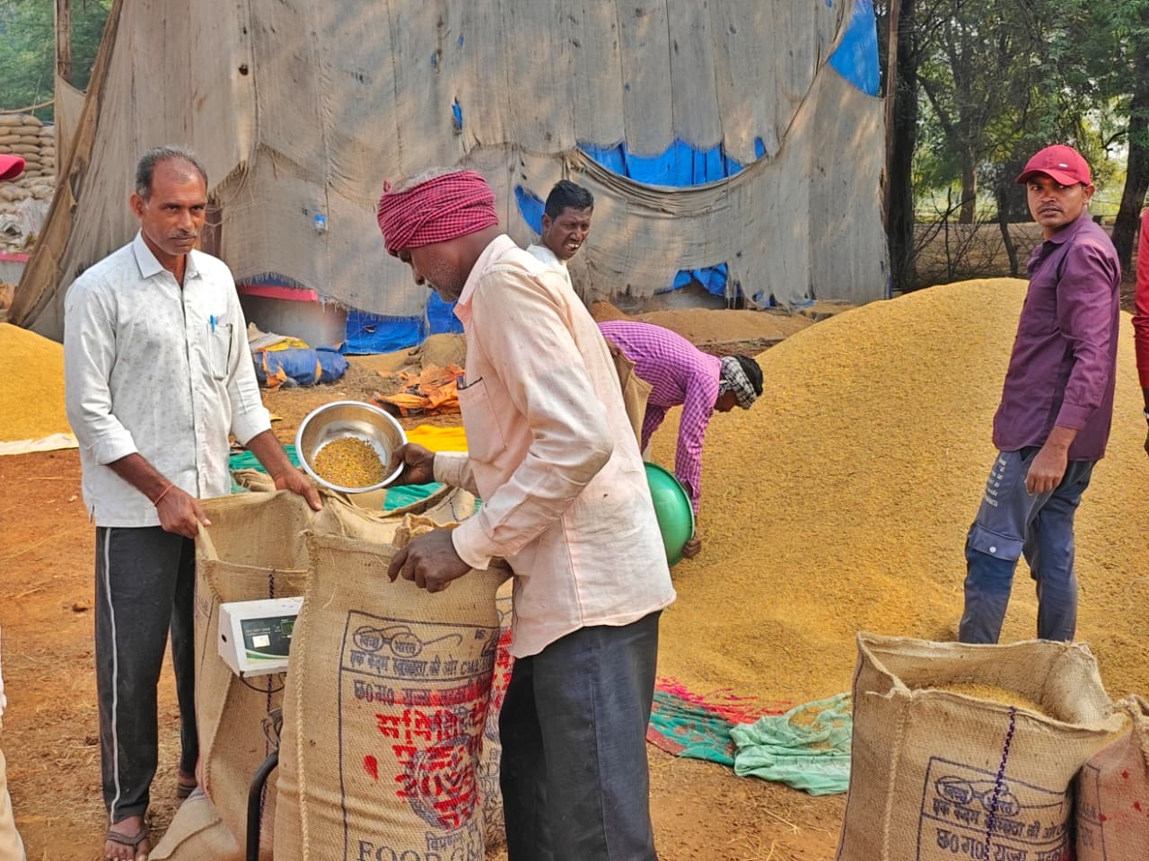 सुगम धान खरीदी से निश्चिंत किसान संतराम ने शासन-प्रशासन को दिया धन्यवाद सुगम धान खरीदी से निश्चिंत किसान संतराम ने शासन-प्रशासन को दिया धन्यवाद