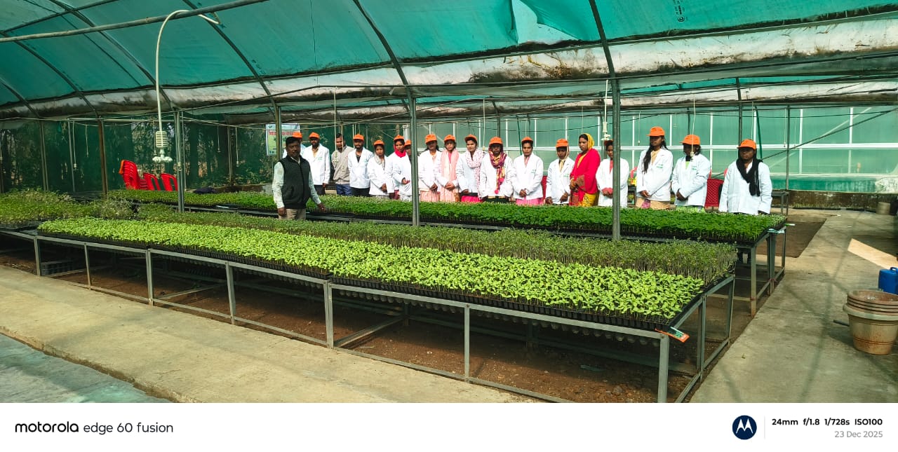 हरित समृद्धि की ओर मजबूत कदम, उद्यानिकी प्रशिक्षण से सशक्त होंगे किसान और युवा हरित समृद्धि की ओर मजबूत कदम, उद्यानिकी प्रशिक्षण से सशक्त होंगे किसान और युवा