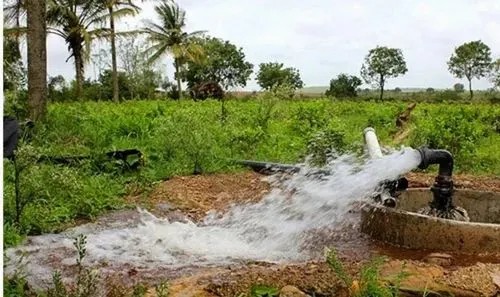 निःशुल्क बिजली से बदली खेती की तस्वीर निःशुल्क बिजली से बदली खेती की तस्वीर
