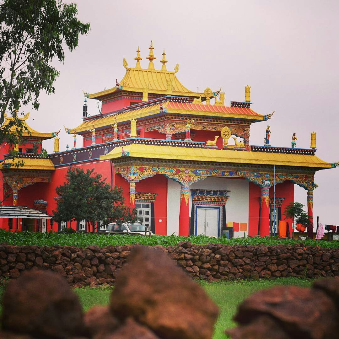 प्रकृति, शांति और तिब्बती संस्कृति का अद्भुत संगम-मैनपाट