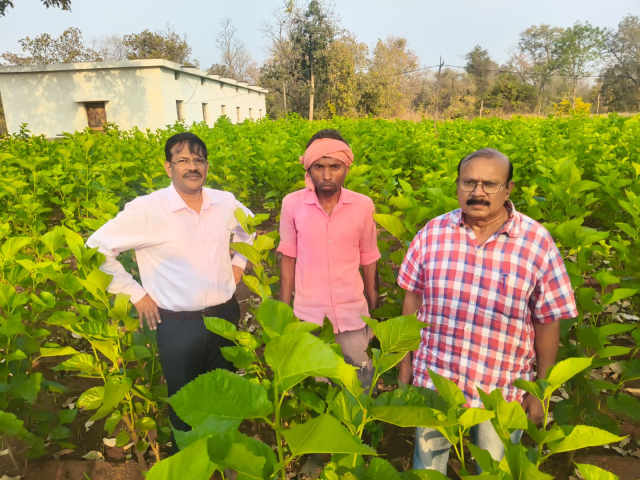 सिल्क समग्र-2 योजना से धमतरी के ग्रामीणों को मिल रहा आत्मनिर्भरता का नया आधार