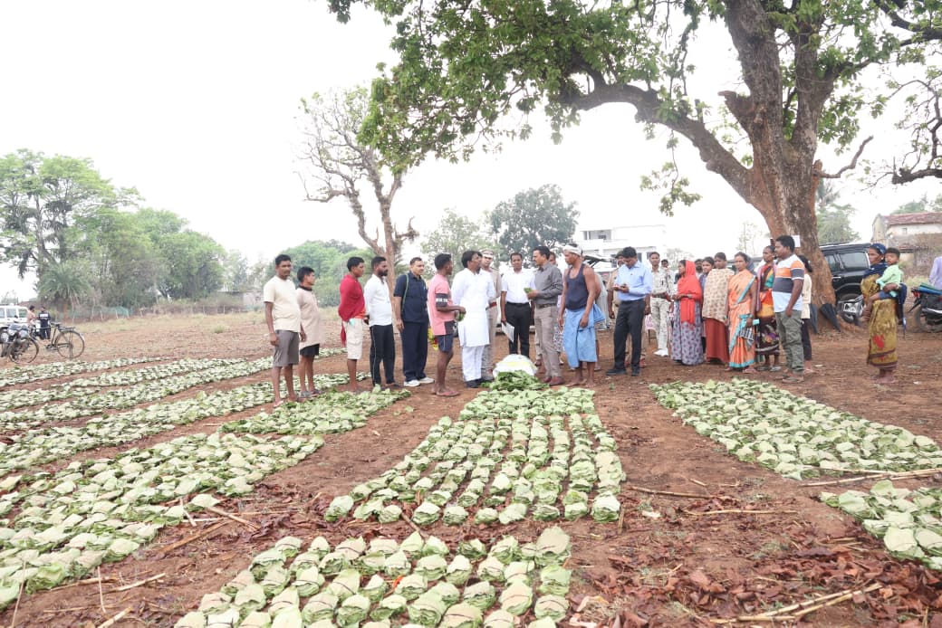 तेन्दूपत्ता संग्रहण में छत्तीसगढ़ ने बनाया नया रिकॉर्ड, अब तक 13.52 लाख मानक बोरा संग्रहित तेन्दूपत्ता संग्रहण में छत्तीसगढ़ ने बनाया नया रिकॉर्ड, अब तक 13.52 लाख मानक बोरा संग्रहित