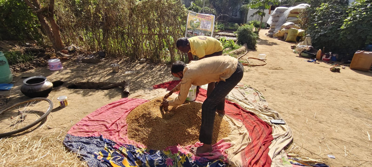 नैनो यूरिया और नैनो डीएपी का उपयोग कम लागत में ज्यादा उत्पादन नैनो यूरिया और नैनो डीएपी का उपयोग कम लागत में ज्यादा उत्पादन