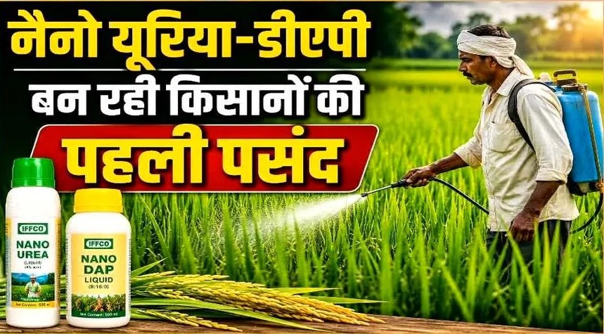 नैनो यूरिया और नैनो डीएपी से कम लागत में ज्यादा उत्पादन नैनो यूरिया और नैनो डीएपी से कम लागत में ज्यादा उत्पादन
