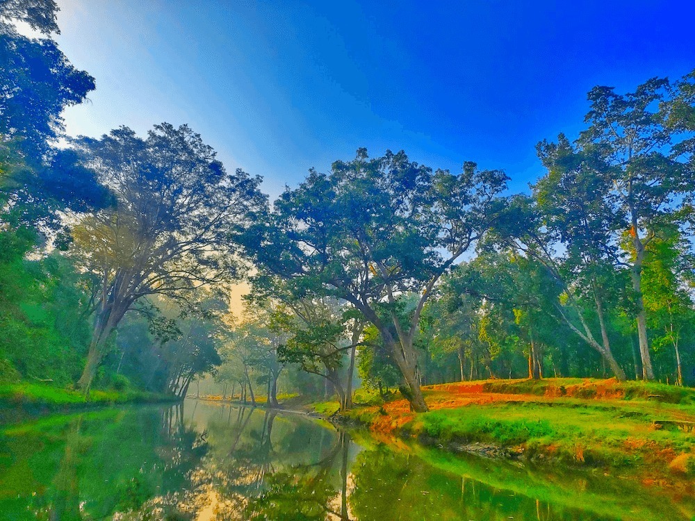विश्व पर्यावरण दिवस 2026 : हरित विकास, जल संरक्षण और जनभागीदारी से पर्यावरणीय समृद्धि की ओर बढ़ता छत्तीसगढ़