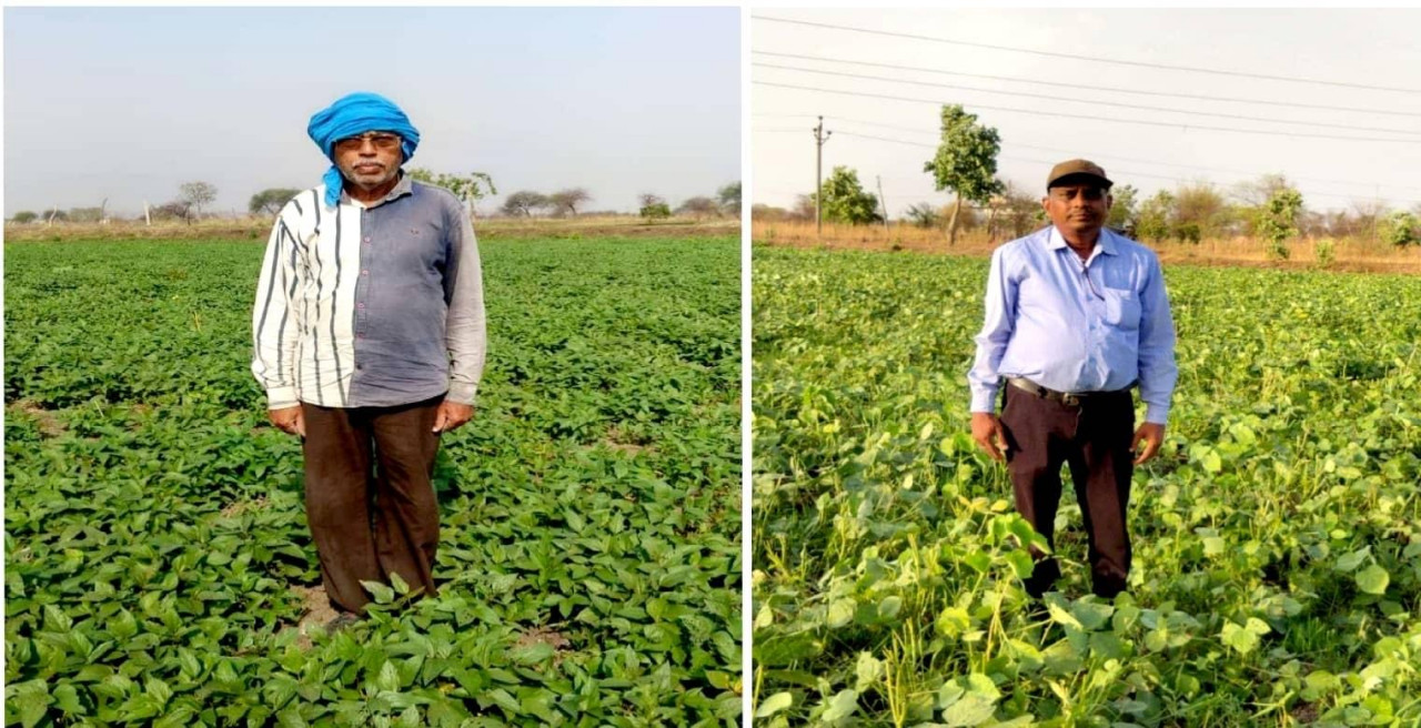 बेमेतरा जिले में दलहन के रकबे में चार गुना की वृद्धि