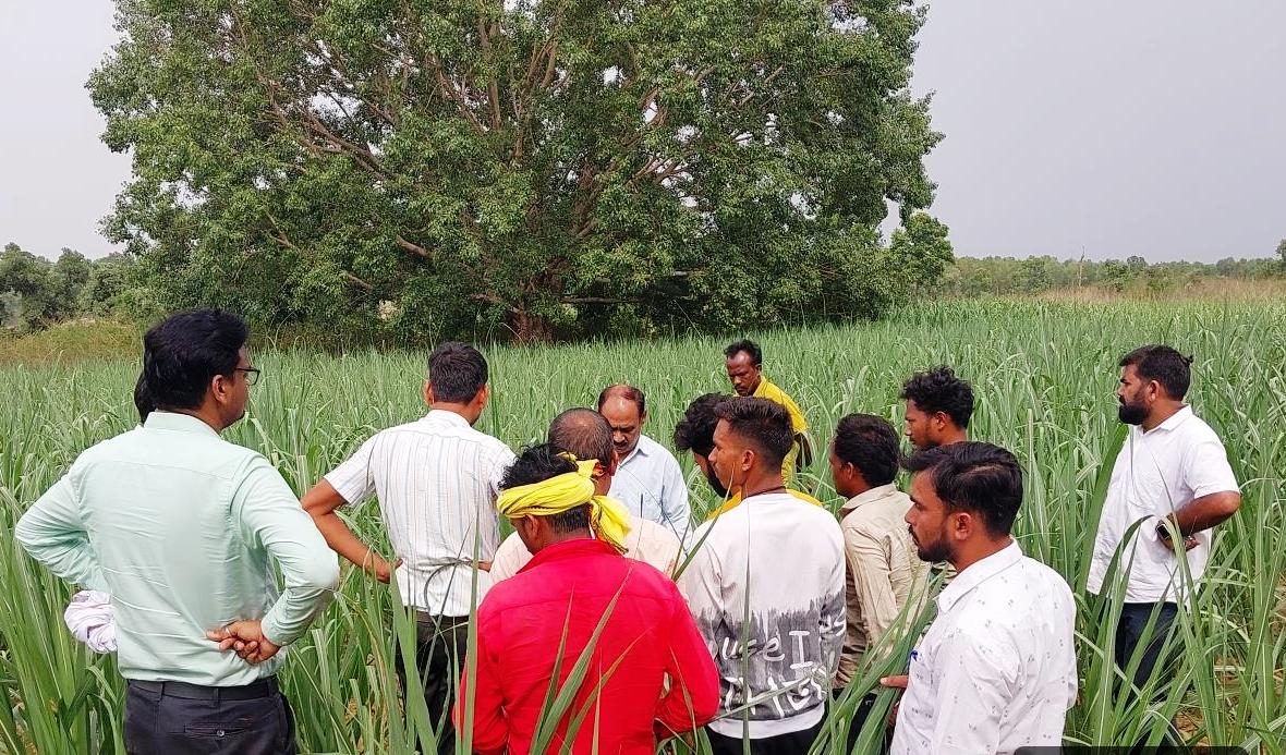 उन्नत तकनीक से गन्ना खेती को मिलेगा नया आयाम