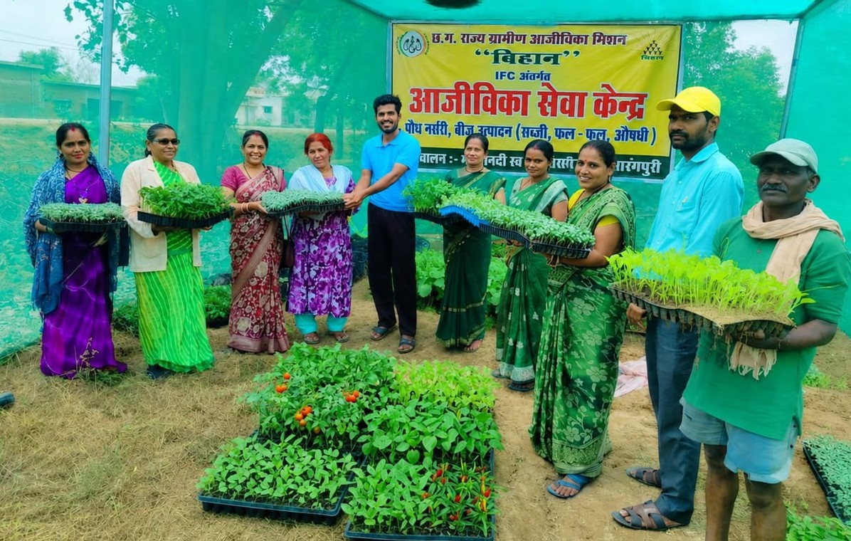 आईएफसी नर्सरी बनी किसानों की उम्मीद आईएफसी नर्सरी बनी किसानों की उम्मीद