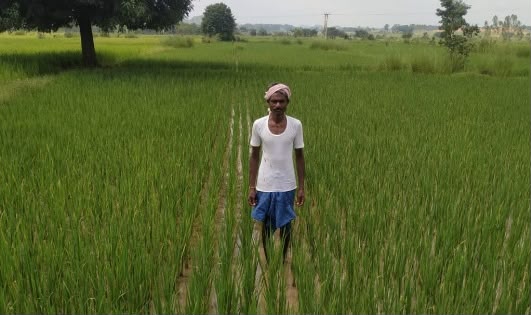 खगपति ने बदला खेती का तरीका, पारंपरिक से आधुनिक कृषि अपनाकर की अपनी आय दोगुनी खगपति ने बदला खेती का तरीका, पारंपरिक से आधुनिक कृषि अपनाकर की अपनी आय दोगुनी