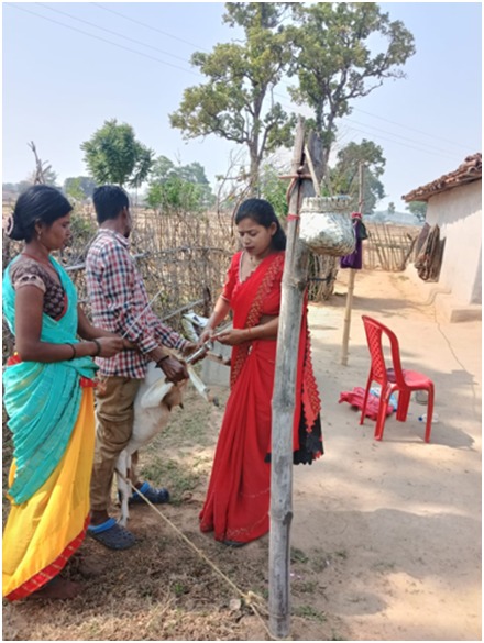 बिहान ने बदली ललिता की तकदीर: 26 हजार के ऋण से शुरू हुआ सफर, आज हर माह 26 हजार की आय बिहान ने बदली ललिता की तकदीर: 26 हजार के ऋण से शुरू हुआ सफर, आज हर माह 26 हजार की आय