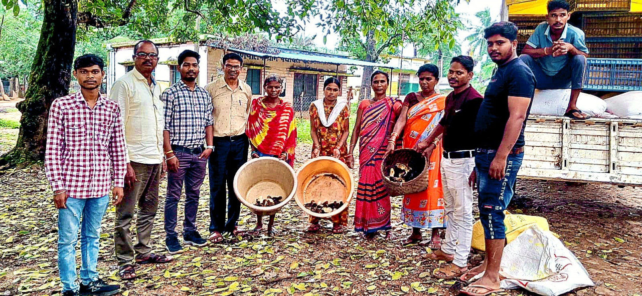 सुकमा की ग्रामीण महिलाओं को मिला स्वरोजगार का सहारा निःशुल्क चूजा वितरण से