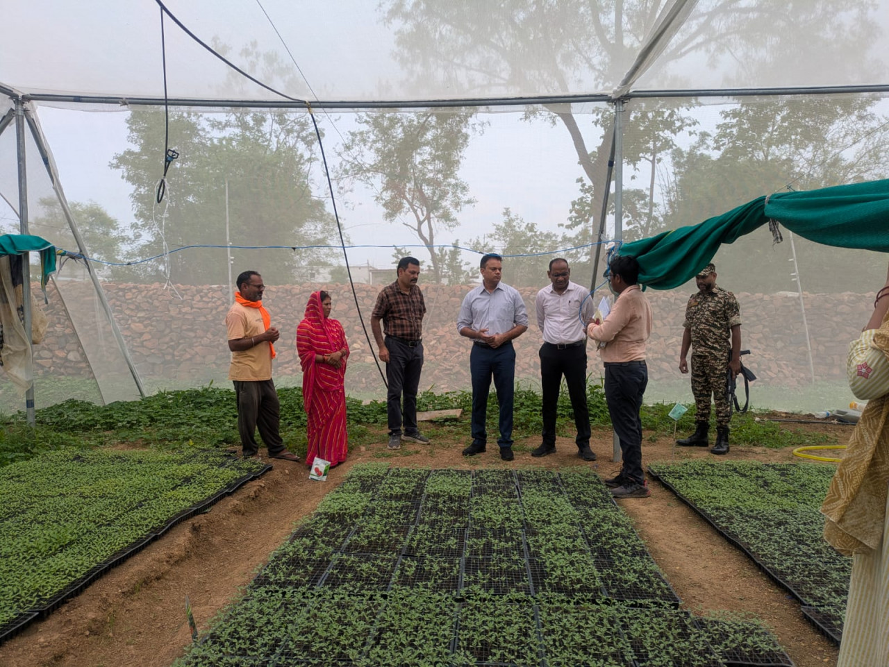 आईएफसी परियोजना ने बदली जिंदगी :नर्सरी उद्यमी बनकर बनी आत्मनिर्भरता की नई पहचान
