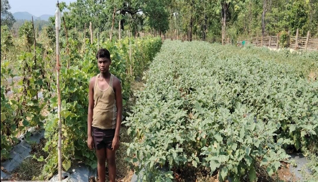 ’सफलता की नई इबारत’ : ’ड्रिप सिंचाई और सब्जी उत्पादन से चमकी नारायणपुर के वासुदेव की किस्मत’ ’सफलता की नई इबारत’ : ’ड्रिप सिंचाई और सब्जी उत्पादन से चमकी नारायणपुर के वासुदेव की किस्मत’