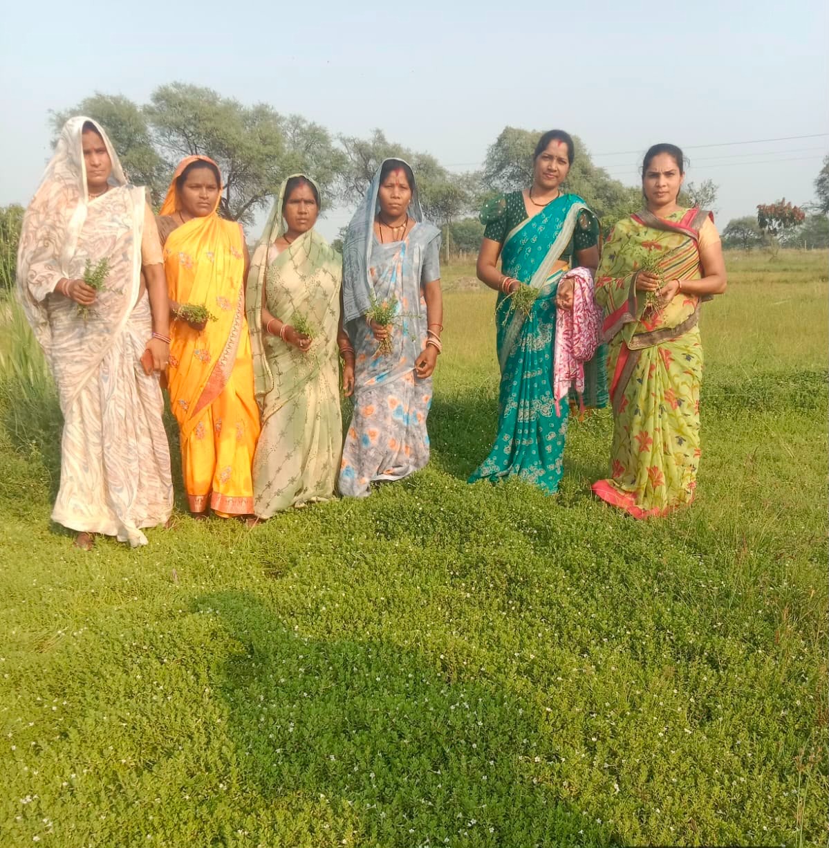 विशेष लेख : धमतरी मॉडल बना देश के लिए प्रेरणा विशेष लेख : धमतरी मॉडल बना देश के लिए प्रेरणा
