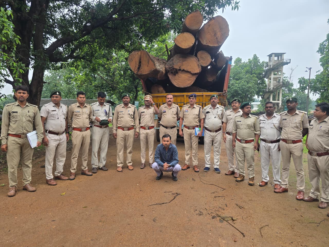 कोरबा वन मंडल की बड़ी कार्रवाई: 20 घनमीटर अवैध साल लकड़ी बरामद, मुख्य आरोपी गिरफ्तार