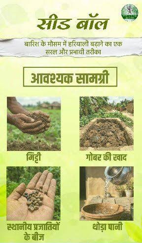 विशेष लेख : सीड बॉल अभियान- हरियाली बढ़ाने का सरल और प्रभावी माध्यम