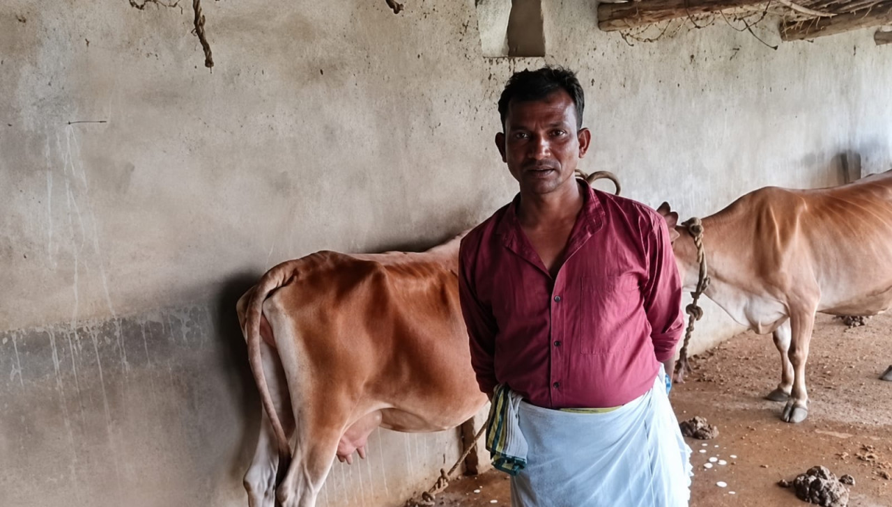 कृत्रिम गर्भाधान बना ग्रामीण समृद्धि का आधार
