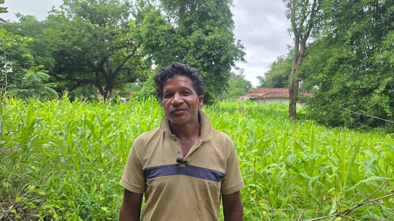 राष्ट्रीय खाद्य एवं पोषण सुरक्षा मिशन से किसानों को मिल रहा लाभ राष्ट्रीय खाद्य एवं पोषण सुरक्षा मिशन से किसानों को मिल रहा लाभ