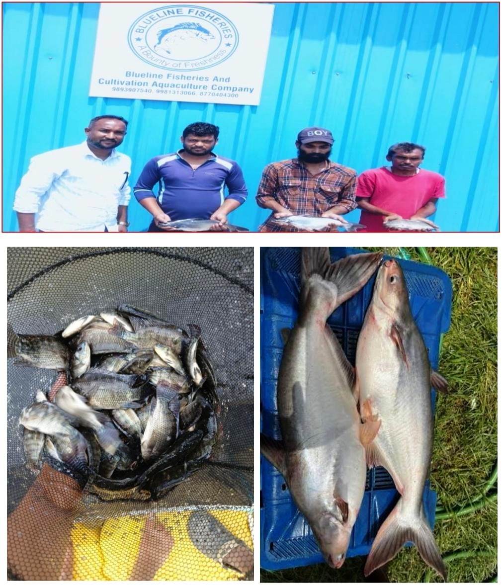 विशेष लेख : जलाशय से समृद्धि तक का सफर, 54 केजो ने बदली मछुआ समिति की तस्वीर