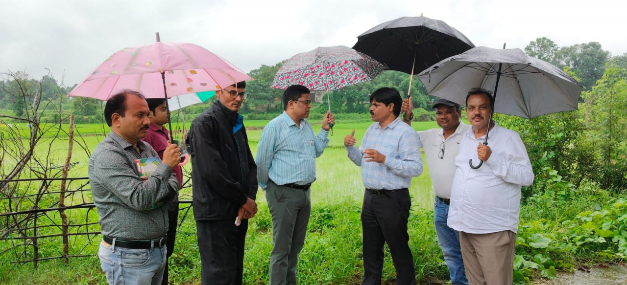 बारिश के बीच खेतों में पहुंचा कृषि अमला, जवाफुल धान की जैविक खेती और सन बीज उत्पादन पर जोर