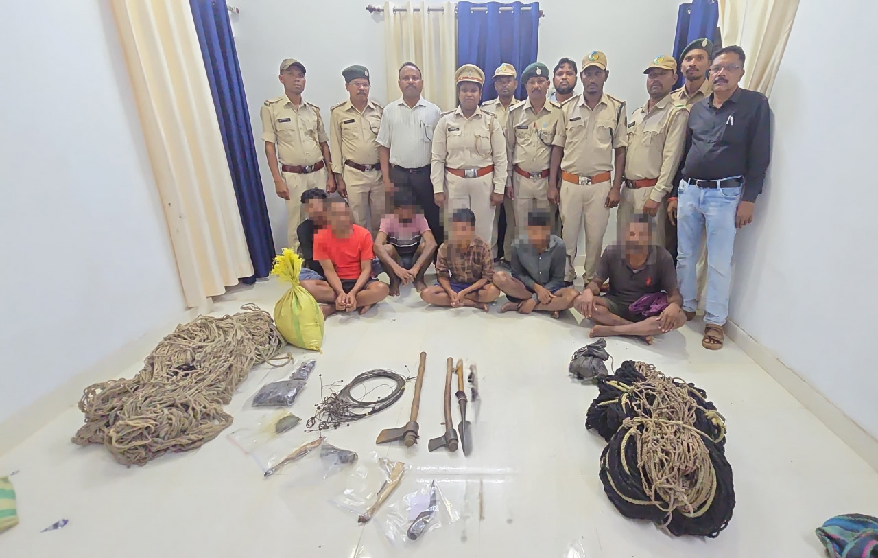 वन मंत्री श्री केदार कश्यप के निर्देश पर इन्द्रावती टाइगर रिजर्व में वन्यजीव शिकार पर बड़ी कार्रवाई, 6 आरोपी गिरफ्तार
