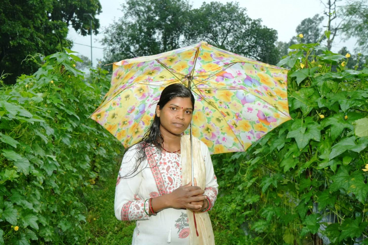बाड़ी से निकली समृद्धि की राह, सपनों को मिली नई उड़ान बाड़ी से निकली समृद्धि की राह, सपनों को मिली नई उड़ान
