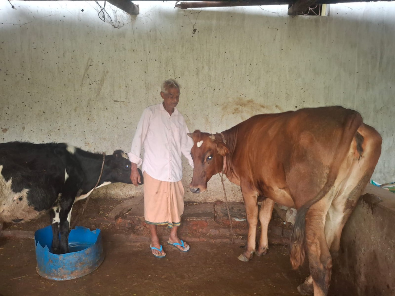 पीएम किसान सम्मान निधि की बचत से खरीदी पहली गाय, आज 10 गायों के साथ आत्मनिर्भर बने 75 वर्षीय श्री परशुराम गुप्ता पीएम किसान सम्मान निधि की बचत से खरीदी पहली गाय, आज 10 गायों के साथ आत्मनिर्भर बने 75 वर्षीय श्री परशुराम गुप्ता
