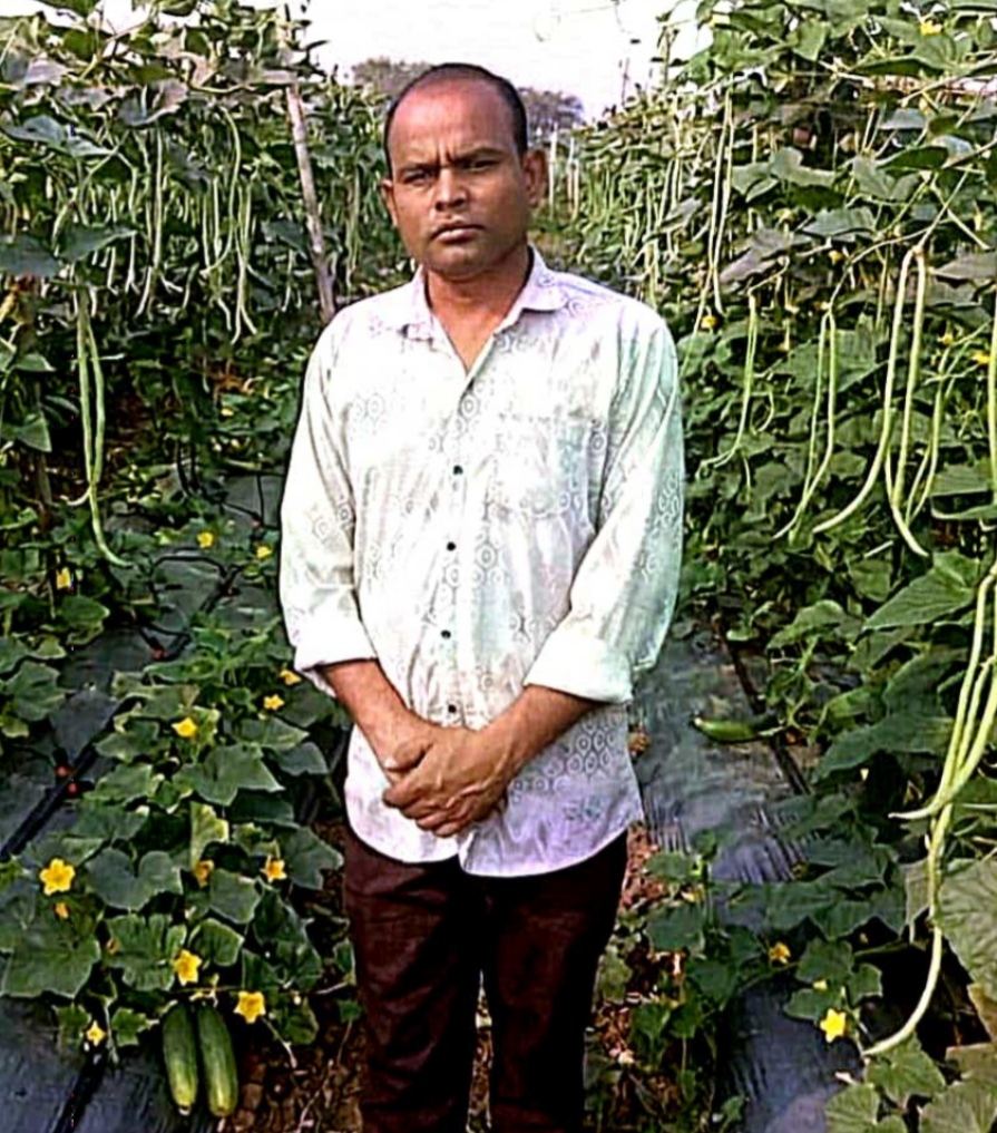 खेती का तरीका बदला तो बढ़ा उत्पादन और मुनाफा खेती का तरीका बदला तो बढ़ा उत्पादन और मुनाफा
