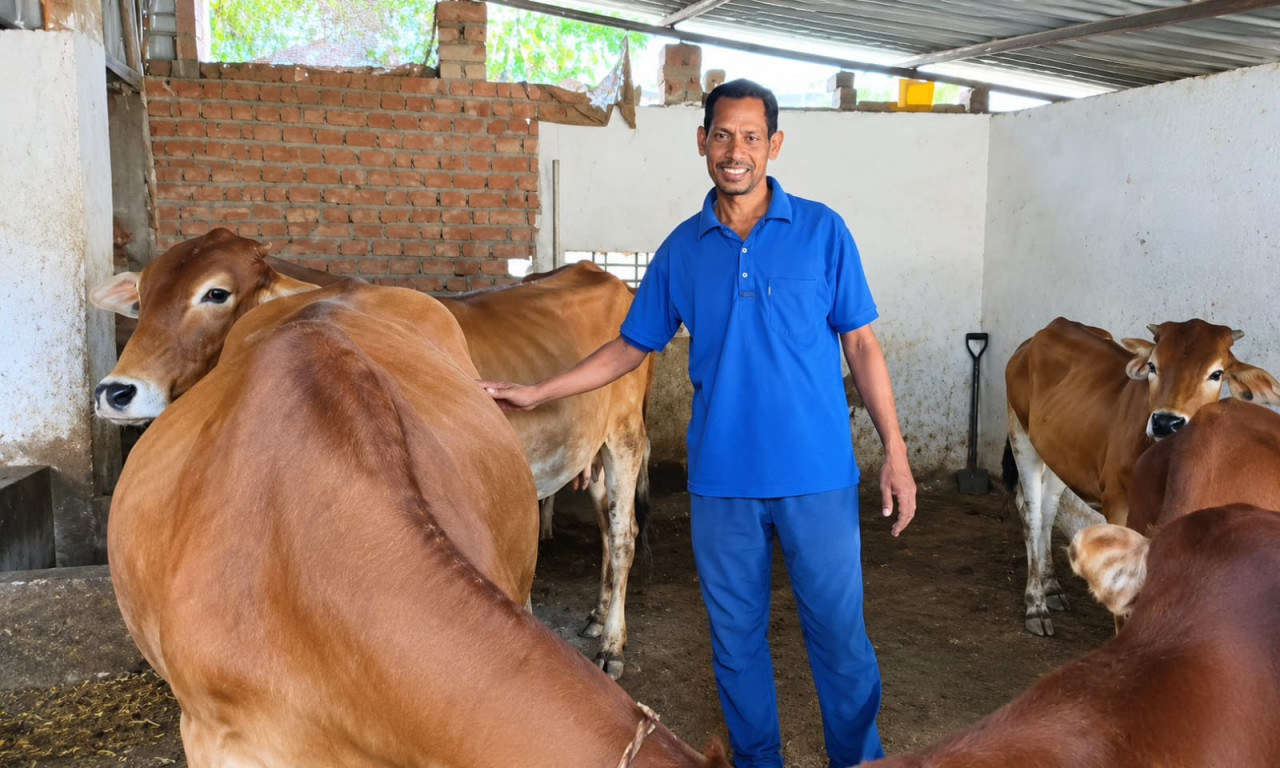 नस्ल सुधार से बढ़ा दुग्ध उत्पादन, मजबूत हुई दयासागर की आजीविका