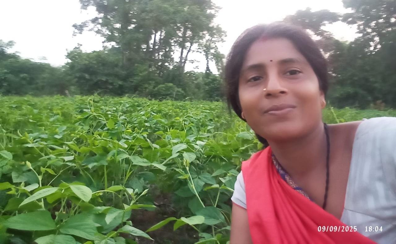 मिट्टी से समृद्धि की ओर : ‘बिहान’ से मिली उड़ान, हेमलता पटेल ने लिखी महिला सशक्तिकरण की नई इबारत