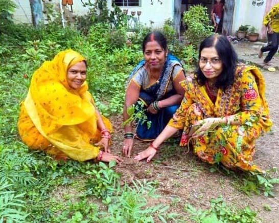 आंगन मिलन सेवा में गूंजा पोषण और सेवा का संदेश, चिरईपानी में रोपे गए मुनगा के पौधे
