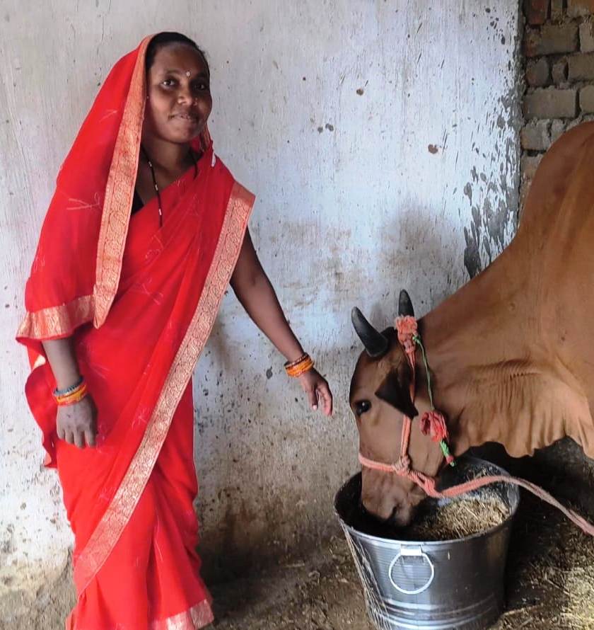 सेवा की कहानी : डेयरी व्यवसाय से आत्मनिर्भर बन रहे जिले के 15 हजार से अधिक पशुपालक और महिलाएं