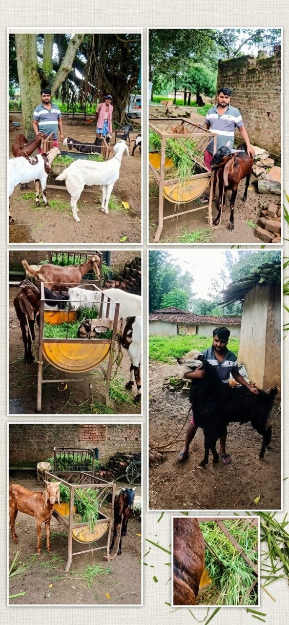 सेवा संकल्प अभियान-2026 : सेवा की कहानी: एक-दो बकरियों से शुरू किया व्यवसाय, अब बकरी पालन से सालाना लगभग पांच लाख रुपये की आय अर्जित कर रहे संतोष चौहान