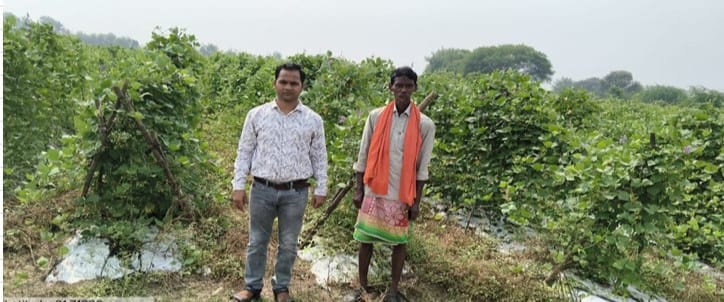 परंपरागत कृषि छोड़ बीज उत्पादक बने किसान, आय में 75 प्रतिशत का हुआ इजाफा